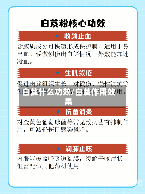 白芨什么功效/白芨作用效果