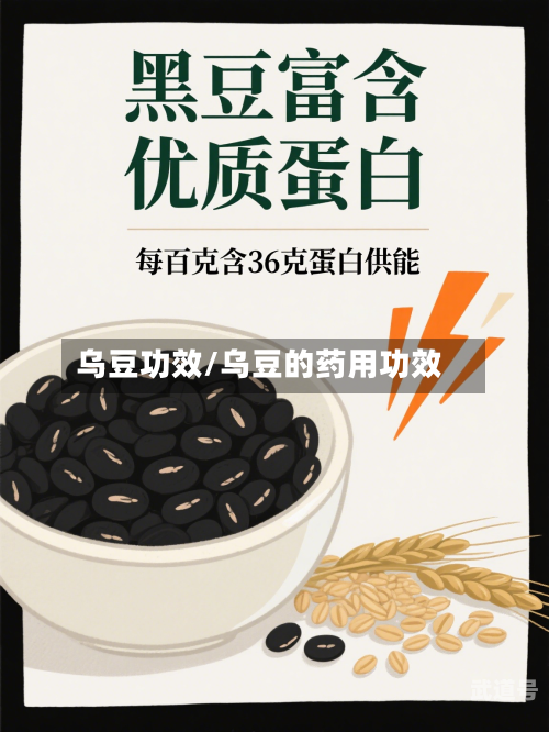 乌豆功效/乌豆的药用功效