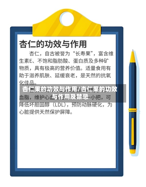 杏仁果的功效与作用/杏仁果的功效与作用及禁忌