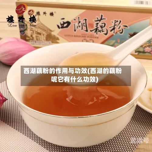 西湖藕粉的作用与功效(西湖的藕粉呢它有什么功效)