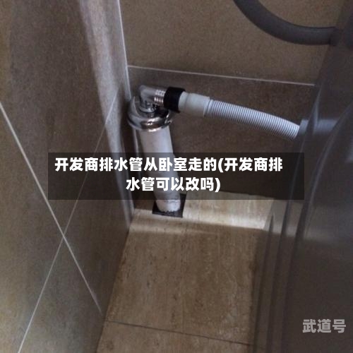 开发商排水管从卧室走的(开发商排水管可以改吗)
