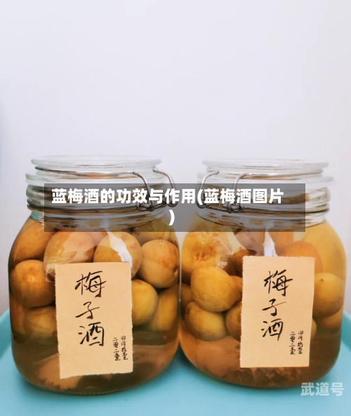 蓝梅酒的功效与作用(蓝梅酒图片)
