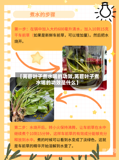 【莴苣叶子煮水喝的功效,莴苣叶子煮水喝的功效是什么】