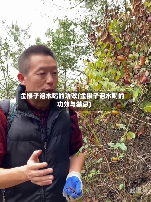 金樱子泡水喝的功效(金樱子泡水喝的功效与禁忌)
