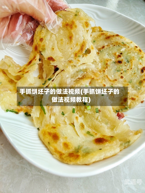 手抓饼坯子的做法视频(手抓饼坯子的做法视频教程)