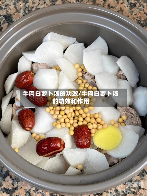 牛肉白萝卜汤的功效/牛肉白萝卜汤的功效和作用