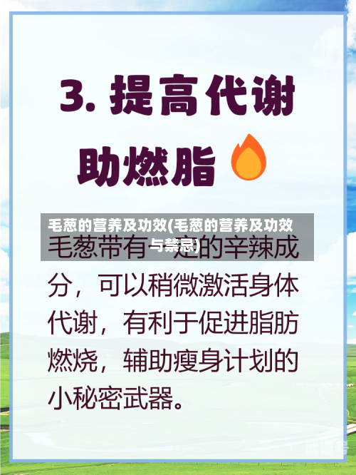 毛葱的营养及功效(毛葱的营养及功效与禁忌)