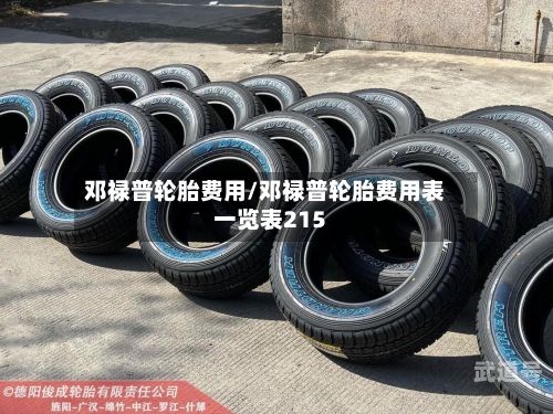 邓禄普轮胎费用/邓禄普轮胎费用表一览表215