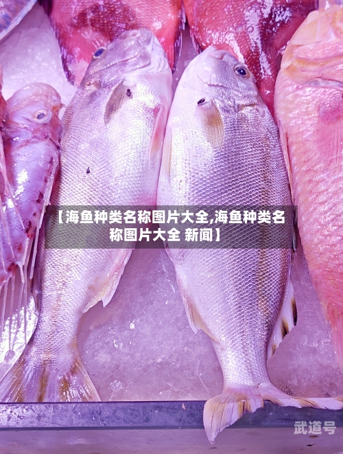 【海鱼种类名称图片大全,海鱼种类名称图片大全 新闻】