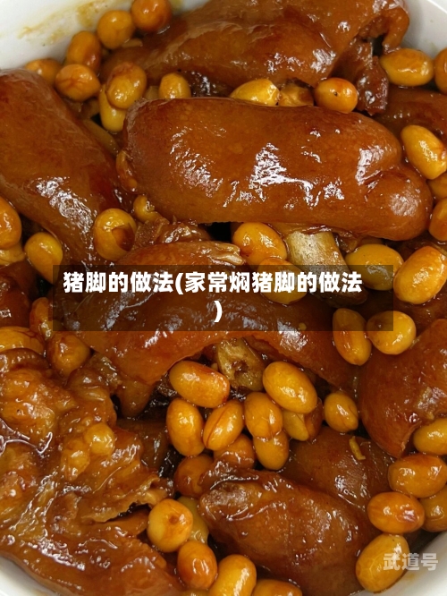 猪脚的做法(家常焖猪脚的做法)