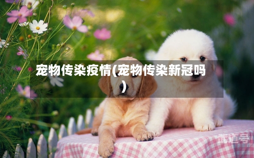 宠物传染疫情(宠物传染新冠吗)