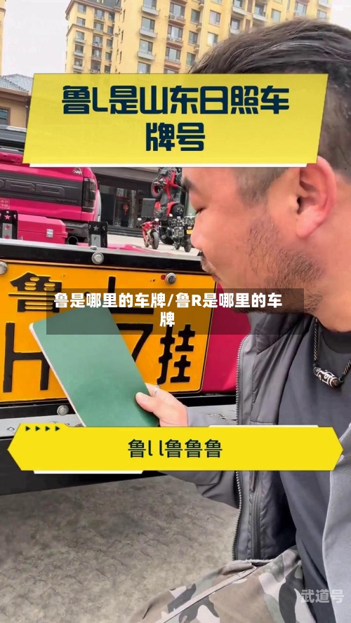 鲁是哪里的车牌/鲁R是哪里的车牌