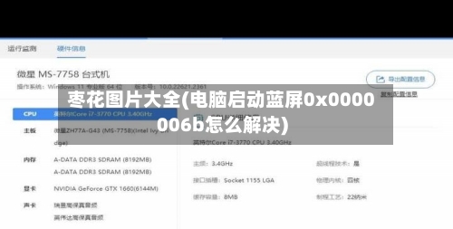 枣花图片大全(电脑启动蓝屏0x0000006b怎么解决)