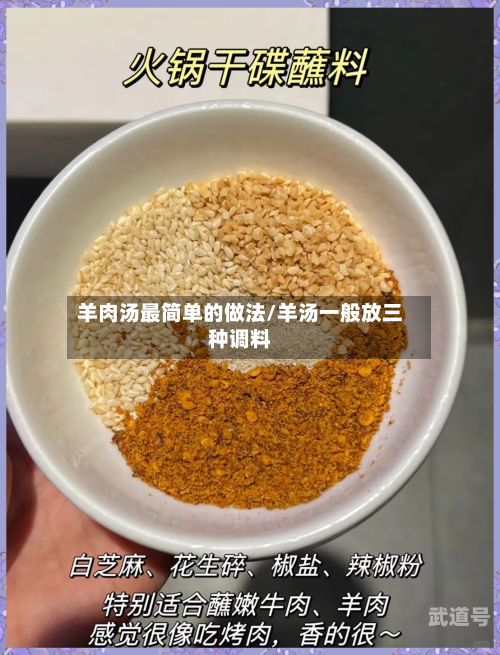 羊肉汤最简单的做法/羊汤一般放三种调料