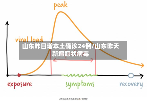 山东昨日增本土确诊24例/山东昨天新增冠状病毒