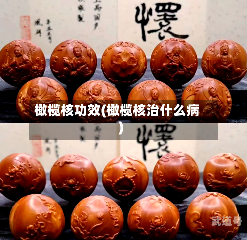 橄榄核功效(橄榄核治什么病)