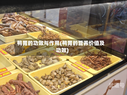 鸭胃的功效与作用(鸭胃的营养价值及功效)-第3张图片