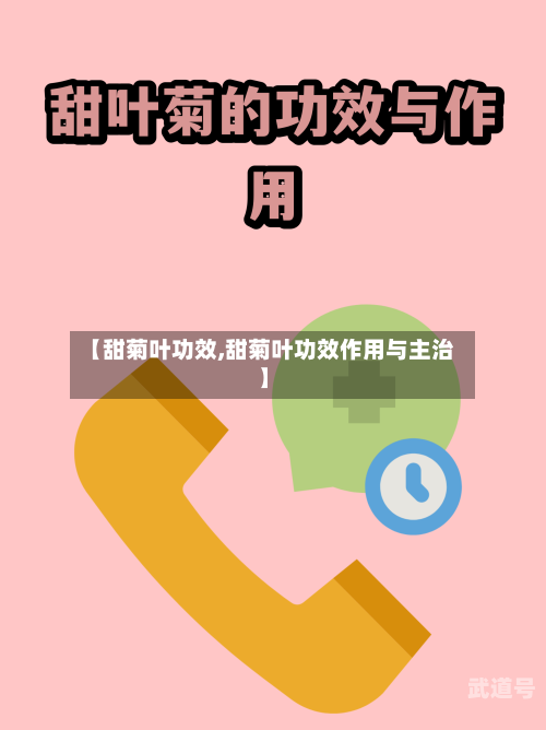 【甜菊叶功效,甜菊叶功效作用与主治】