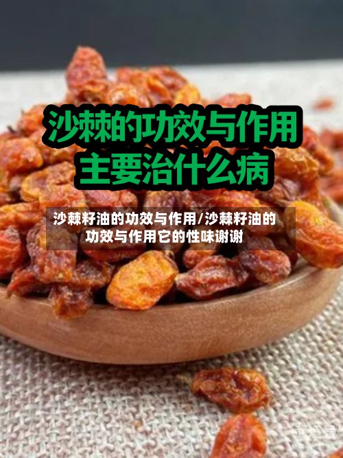 沙棘籽油的功效与作用/沙棘籽油的功效与作用它的性味谢谢