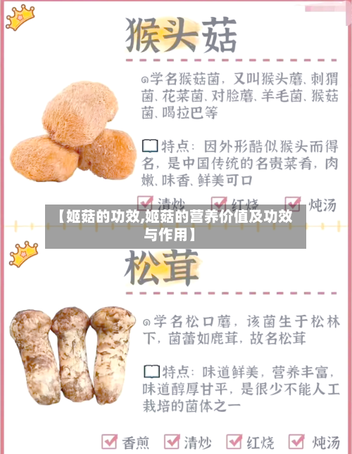 【姬菇的功效,姬菇的营养价值及功效与作用】