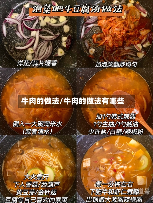 牛肉的做法/牛肉的做法有哪些