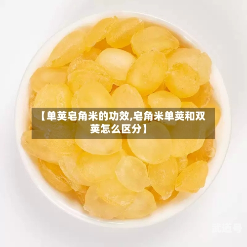 【单荚皂角米的功效,皂角米单荚和双荚怎么区分】
