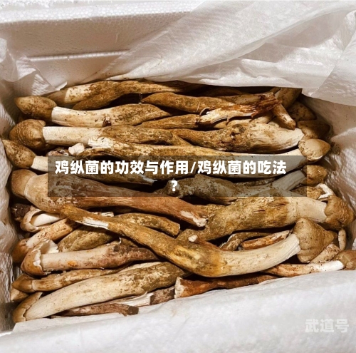 鸡纵菌的功效与作用/鸡纵菌的吃法?