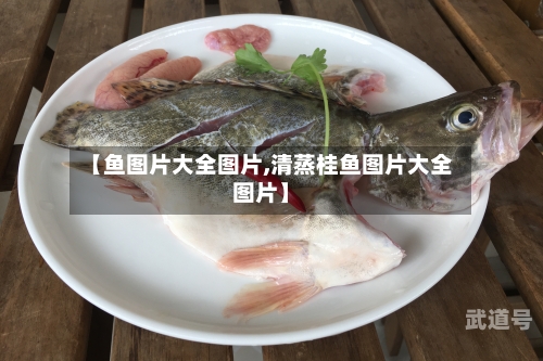 【鱼图片大全图片,清蒸桂鱼图片大全图片】