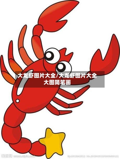 大龙虾图片大全/大龙虾图片大全大图简笔画
