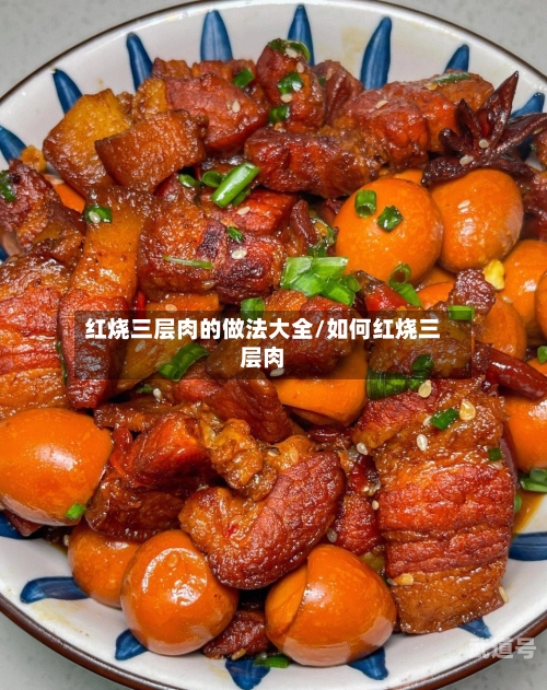 红烧三层肉的做法大全/如何红烧三层肉