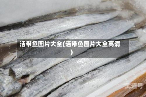 活带鱼图片大全(活带鱼图片大全高清)
