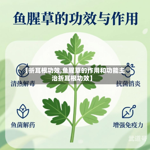 【折耳根功效,鱼腥草的作用和功能主治折耳根功效】