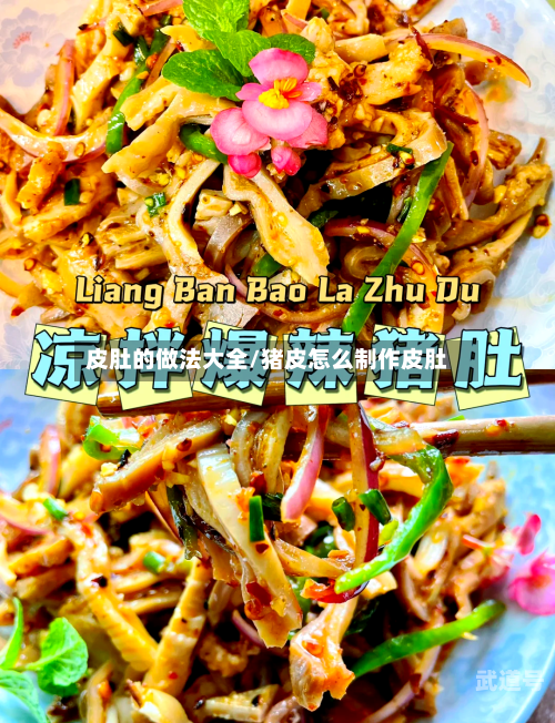 皮肚的做法大全/猪皮怎么制作皮肚