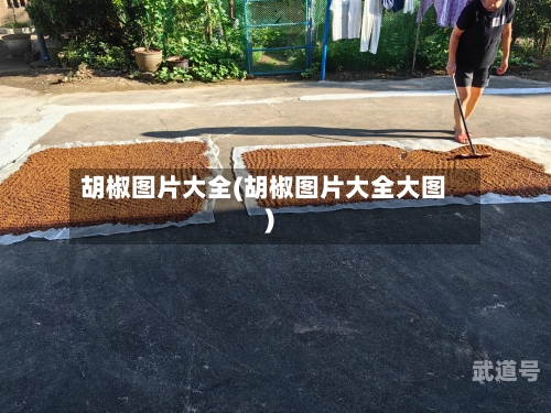 胡椒图片大全(胡椒图片大全大图)-第3张图片