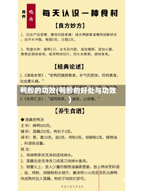 鸭胗的功效(鸭胗的好处与功效)-第3张图片