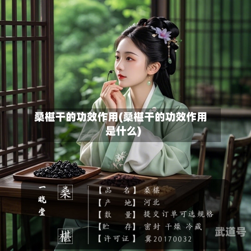 桑椹干的功效作用(桑椹干的功效作用是什么)