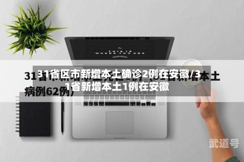 31省区市新增本土确诊2例在安徽/31省新增本土1例在安徽