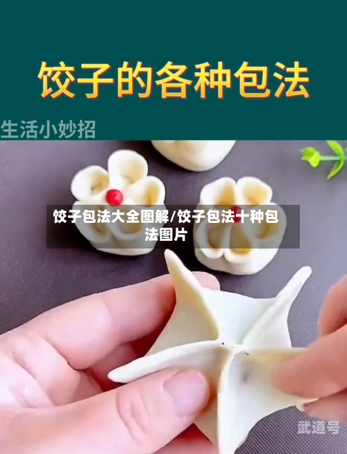 饺子包法大全图解/饺子包法十种包法图片