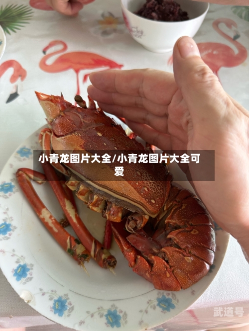小青龙图片大全/小青龙图片大全可爱