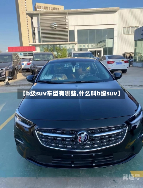 【b级suv车型有哪些,什么叫b级suv】-第2张图片