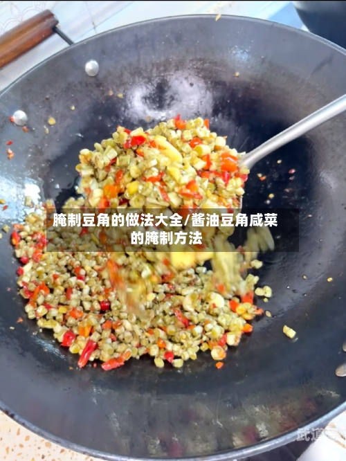 腌制豆角的做法大全/酱油豆角咸菜的腌制方法