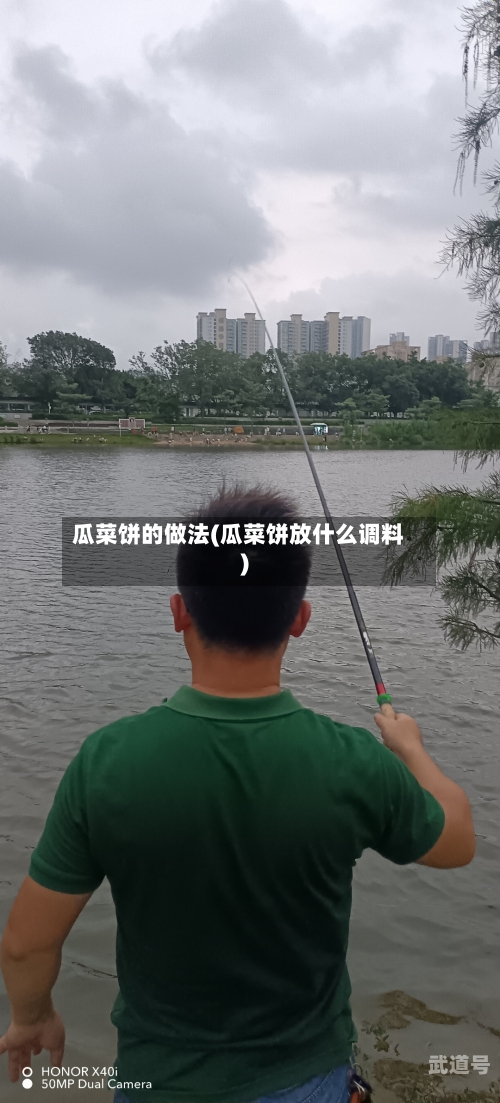 瓜菜饼的做法(瓜菜饼放什么调料)-第3张图片