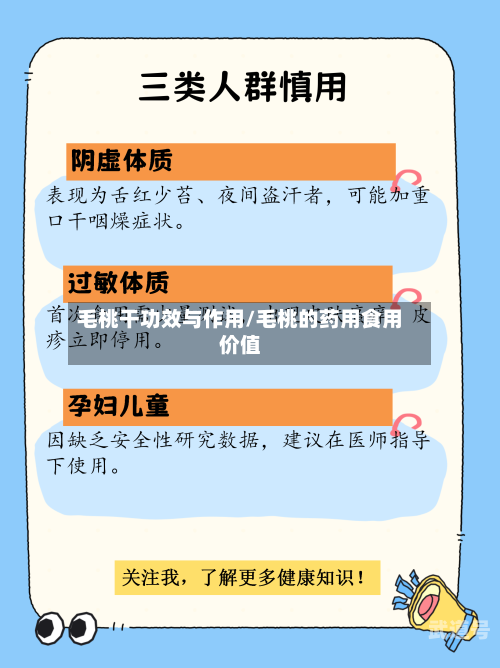 毛桃干功效与作用/毛桃的药用食用价值