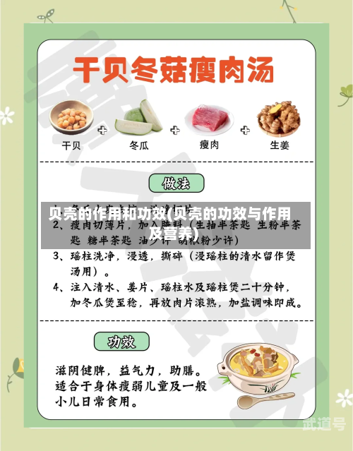贝壳的作用和功效(贝壳的功效与作用及营养)