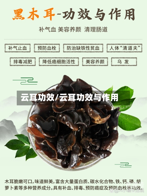 云耳功效/云耳功效与作用