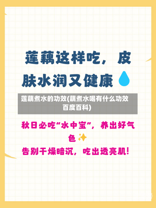 莲藕煮水的功效(藕煮水喝有什么功效百度百科)