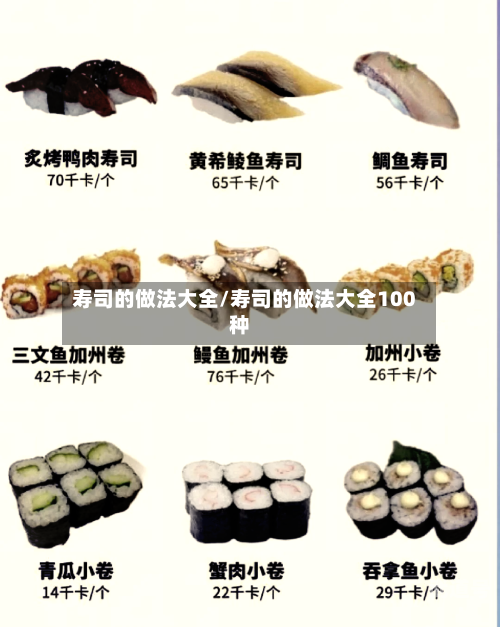寿司的做法大全/寿司的做法大全100种