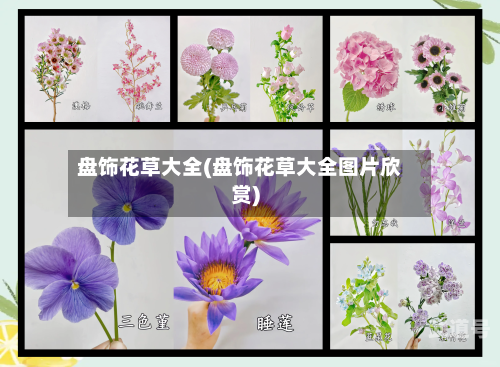 盘饰花草大全(盘饰花草大全图片欣赏)