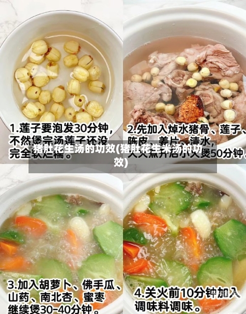 猪肚花生汤的功效(猪肚花生米汤的功效)