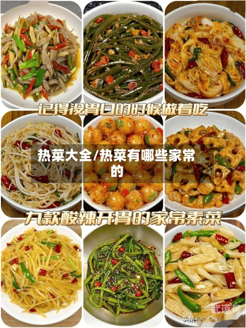 热菜大全/热菜有哪些家常的